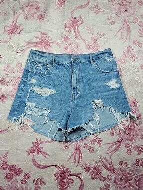 American Eagle Outfitters Light Blue Distressed Denim Shorts